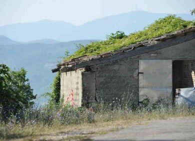 Pesaro, 17enne scomparso e trovato sgozzato. Fermati due 20enni