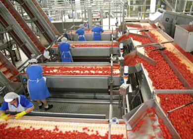 Sostenibilità ambientale, Conserve Italia riduce anche l’acqua