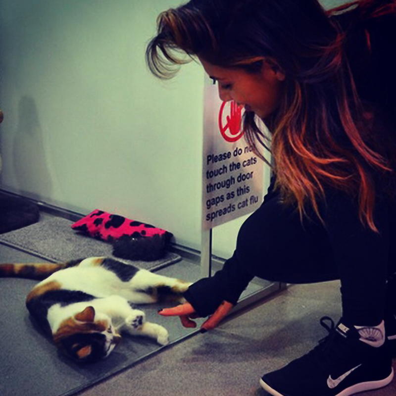 Avere cani e gatti in casa? Riduce lo stress e migliora l’autostima Avere cani e gatti in casa? Riduce lo stress e migliora l’autostima