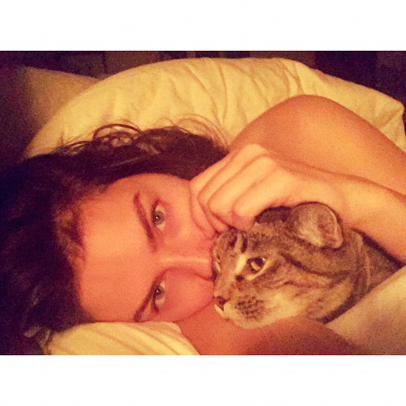 Cani e gatti in casa? Tre motivi per cui fanno bene Cani e gatti in casa? Tre motivi per cui fanno bene