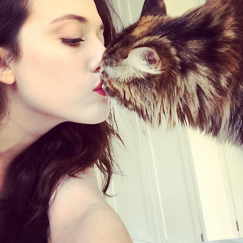 Cani e gatti in casa? Tre motivi per cui fanno bene Cani e gatti in casa? Tre motivi per cui fanno bene