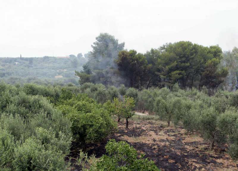 Esplode una fabbrica di fuochi d’artificio. Sette morti