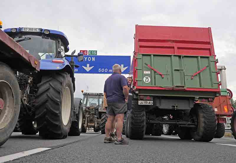 Guerra dei prezzi tra allevatori europei. I francesi in rivolta: concorrenza sleale Guerra dei prezzi tra allevatori europei. I francesi in rivolta: concorrenza sleale