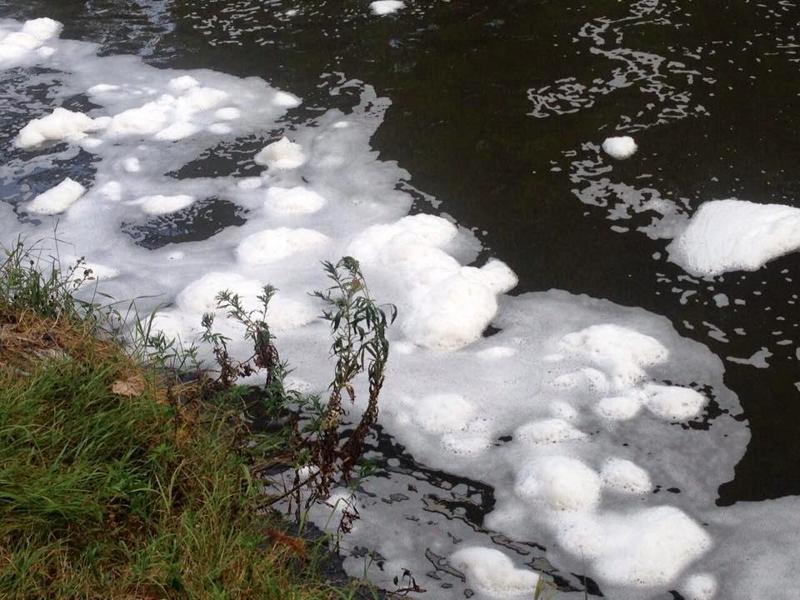 “Schiuma nel Lambro… e i rom pescano”: la denuncia di Sardone “Schiuma nel Lambro… e i rom pescano”: la denuncia di Sardone