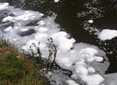 “Schiuma nel Lambro… e i rom pescano”: la denuncia di Sardone
