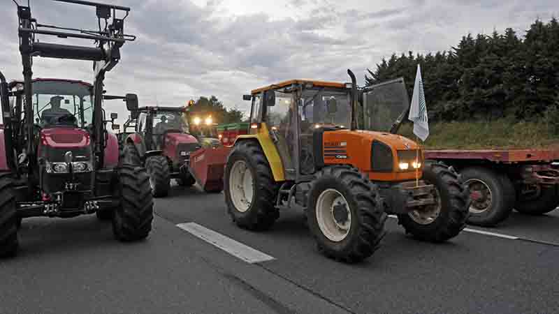 Francia, agricoltori bloccano merci da Germania e Spagna. Foto Francia, agricoltori bloccano merci da Germania e Spagna. Foto