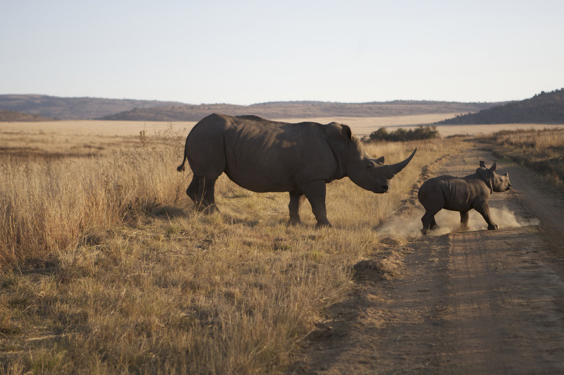 Western Cape: tutta l’ispirazione sudafricana Western Cape: tutta l’ispirazione sudafricana