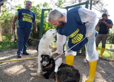 Una donna ridotta alla miseria viveva tra cani e topi