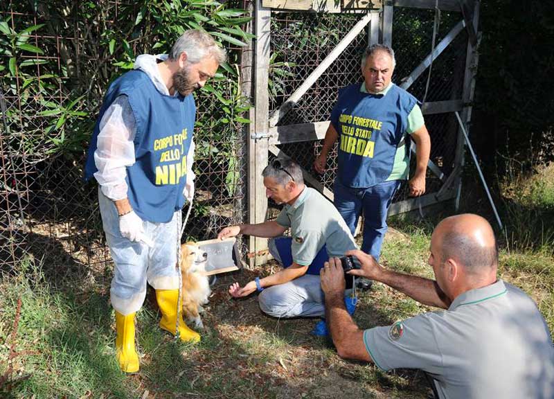 Una donna ridotta alla miseria viveva tra cani e topi Una donna ridotta alla miseria viveva tra cani e topi