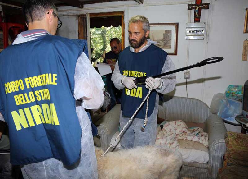 Una donna ridotta alla miseria viveva tra cani e topi Una donna ridotta alla miseria viveva tra cani e topi