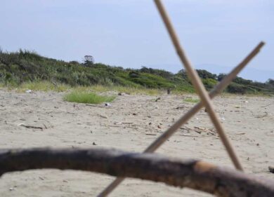 Torre Astura, la vergogna, della “perla” dimenticata dal Comune. LA GALLERY