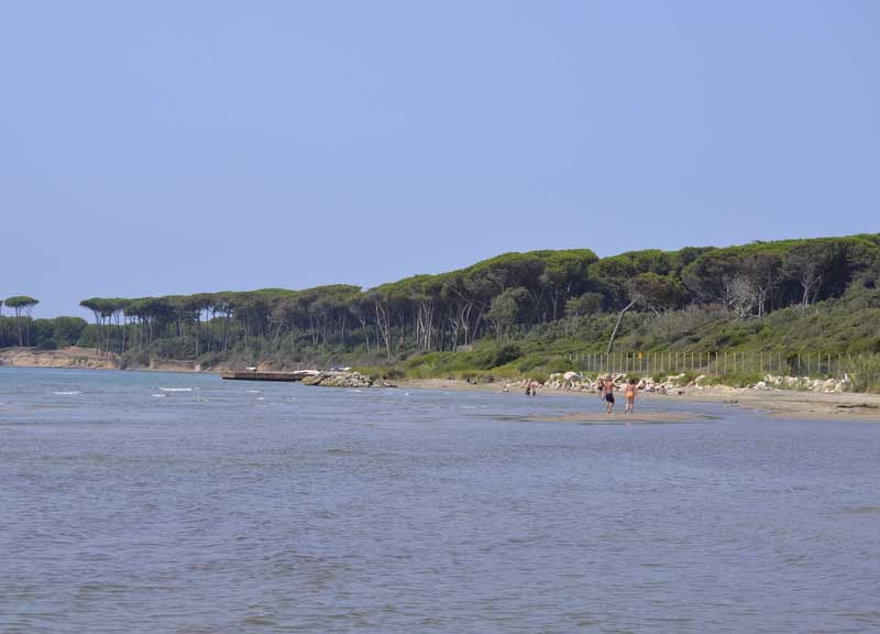 Torre Astura, la vergogna, della “perla” dimenticata dal Comune. LA GALLERY Torre Astura, la vergogna, della “perla” dimenticata dal Comune. LA GALLERY