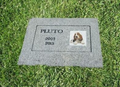 Cimitero per animali in via Novara: ospiterà sino a 20mila amici a quattro zampe