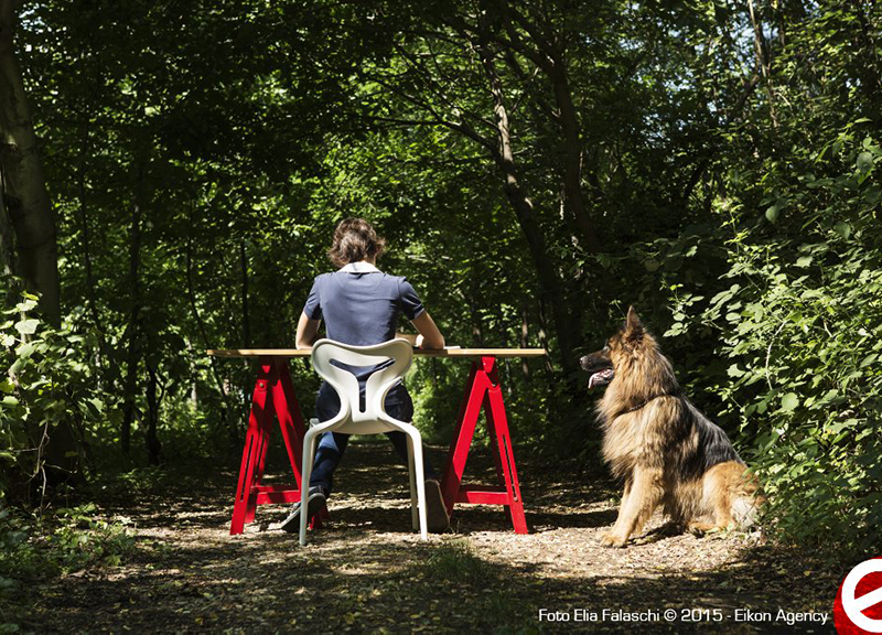 Editoria, Giada sogna di pubblicare col Crowdfunding il suo primo libro Editoria, Giada sogna di pubblicare col Crowdfunding il suo primo libro