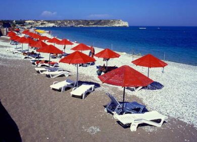 Alga tossica, col caldo scatta l’allarme. Provoca malori