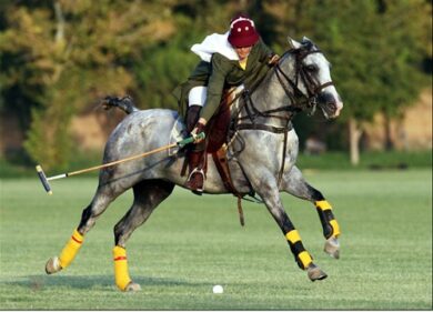 Polo club, bonifiche al via e campo a rischio