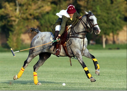 Polo club, bonifiche al via e campo a rischio Polo club, bonifiche al via e campo a rischio
