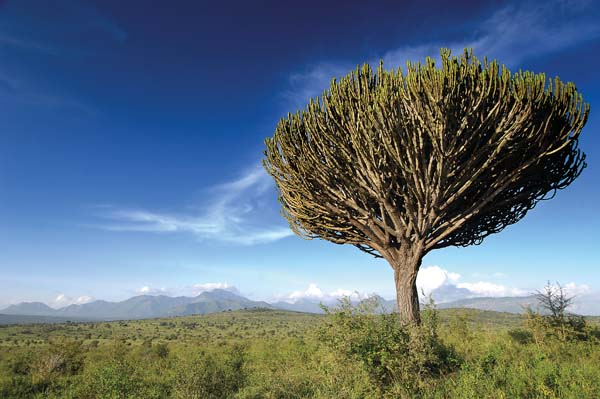 Kenya, turismo al top: le sei occasioni da non perdere. FOTO