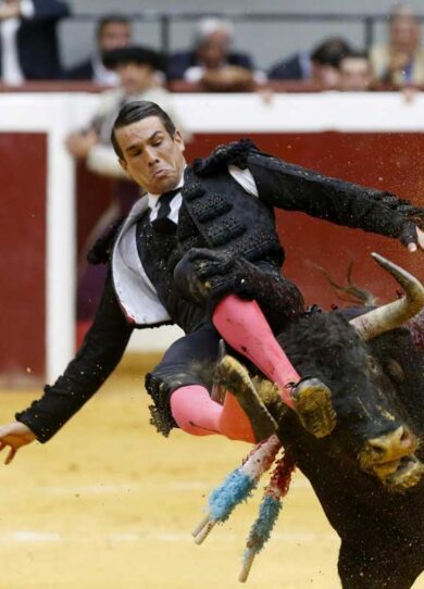 Corrida, agosto di sangue: toreri incornati. La sinistra mette il divieto