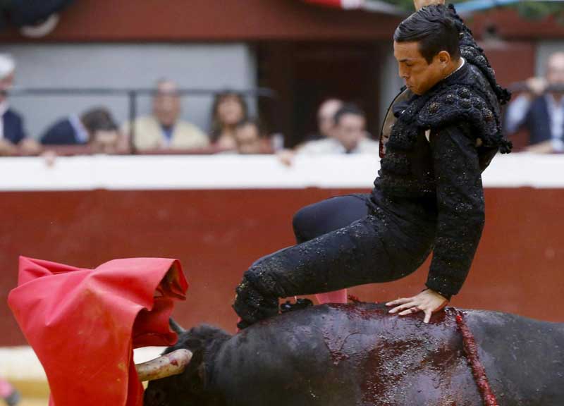 Corrida, agosto di sangue: toreri incornati. La sinistra mette il divieto