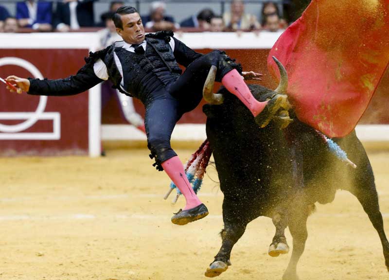 Corrida, agosto di sangue: toreri incornati. La sinistra mette il divieto