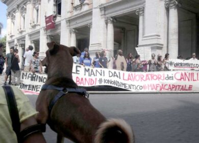 I cani in Campidoglio contro Marino. “Col nuovo bando no canili ma lager”