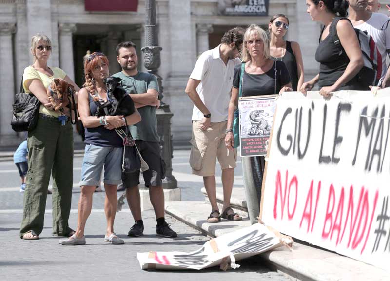 I cani in Campidoglio contro Marino. “Col nuovo bando no canili ma lager” I cani in Campidoglio contro Marino. “Col nuovo bando no canili ma lager”