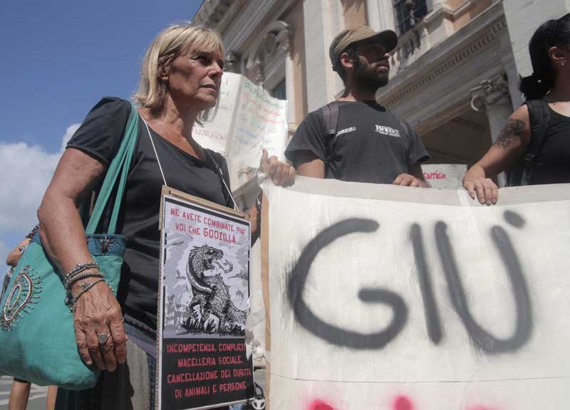 I cani in Campidoglio contro Marino. “Col nuovo bando no canili ma lager” I cani in Campidoglio contro Marino. “Col nuovo bando no canili ma lager”