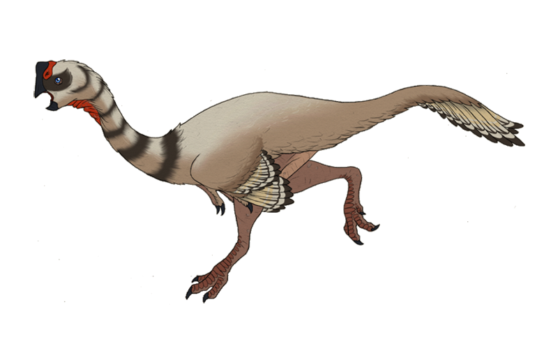 Bergamo, nuovo dinosauro al museo di Scienze Naturali in arrivo dagli Usa Bergamo, nuovo dinosauro al museo di Scienze Naturali in arrivo dagli Usa