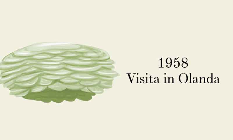 Elisabetta II, è suo il regno più lungo. La storia dei suoi cappellini. FOTO Elisabetta II, è suo il regno più lungo. La storia dei suoi cappellini. FOTO
