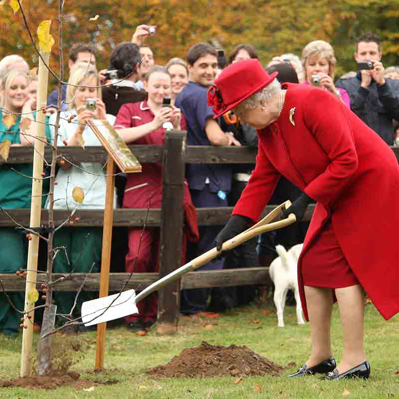 Elisabetta II sovrana-record. Da 63 anni icona di stile Elisabetta II sovrana-record. Da 63 anni icona di stile