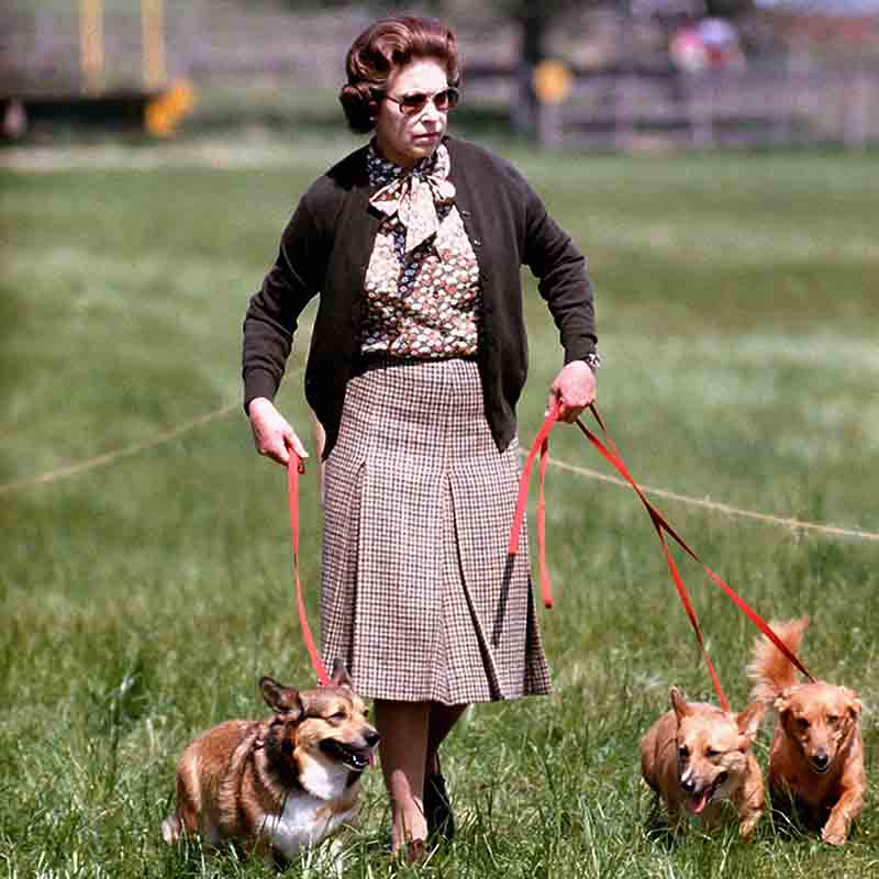 Elisabetta II sovrana-record. Da 63 anni icona di stile Elisabetta II sovrana-record. Da 63 anni icona di stile