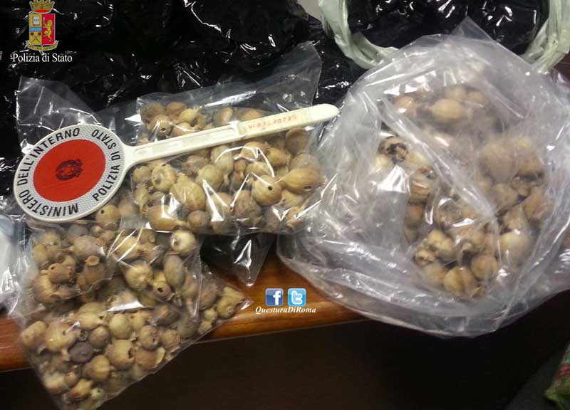 Tabacco, droga e medicinali vietati: maxi sequestro della Polizia Tabacco, droga e medicinali vietati: maxi sequestro della Polizia