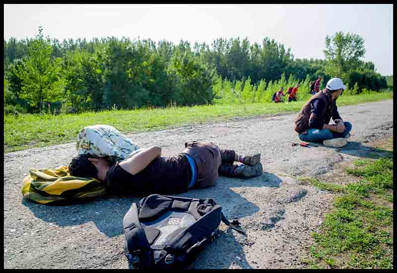 Ungheria, avviso shock anti-migranti: “Portano malattie, è pericolo contagio” Ungheria, avviso shock anti-migranti: “Portano malattie, è pericolo contagio”