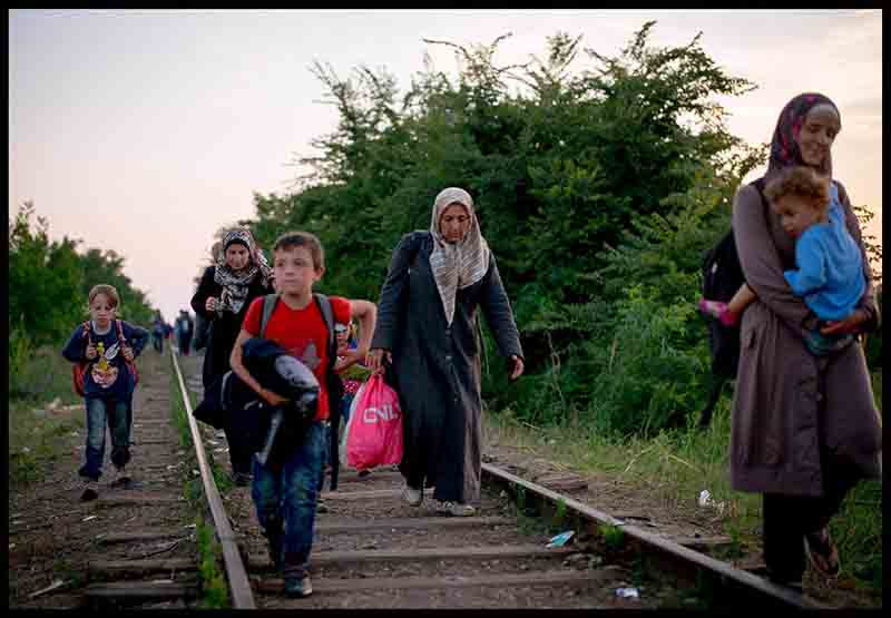 Ungheria, avviso shock anti-migranti: “Portano malattie, è pericolo contagio” Ungheria, avviso shock anti-migranti: “Portano malattie, è pericolo contagio”