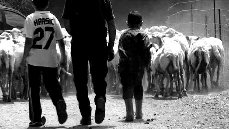 Expo 2015: la Sardegna Film Commission arriva a Milano Expo 2015: la Sardegna Film Commission arriva a Milano