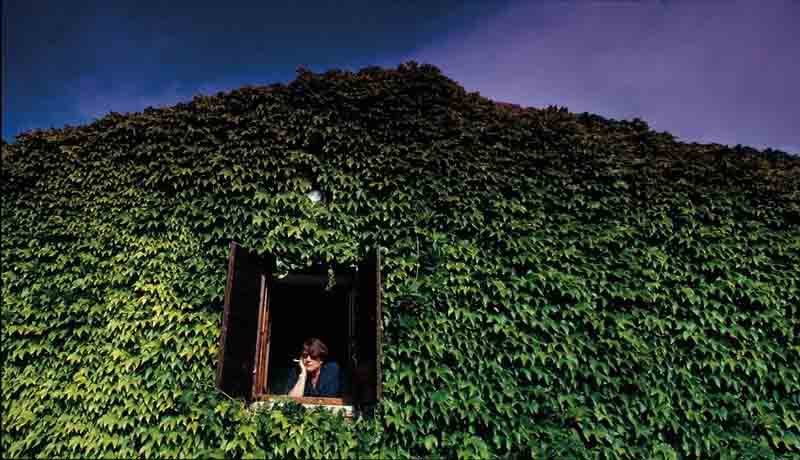 Expo 2015: la Sardegna Film Commission arriva a Milano Expo 2015: la Sardegna Film Commission arriva a Milano