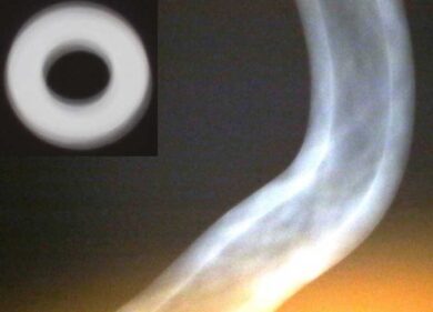 Ufo a Napoli, avvistamento e fotografie di 4 testimoni