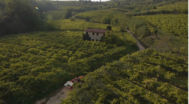 Cinema e Cibo in festa a Bergamo. Al via il Food Film Fest Cinema e Cibo in festa a Bergamo. Al via il Food Film Fest