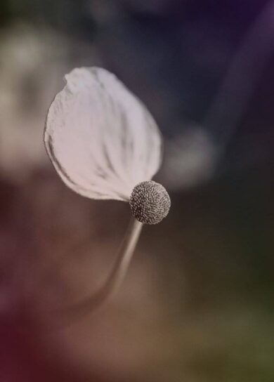 Il paziente deve sapere che sta morendo? Ecco come gestire il dolore