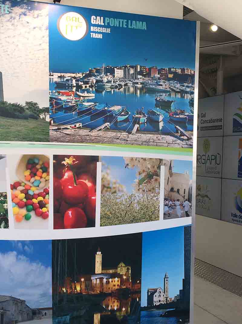 puglia expo (8) puglia expo (8)