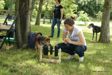 Tendenze/ Yoga della risata e non solo: come educare il vostro cane