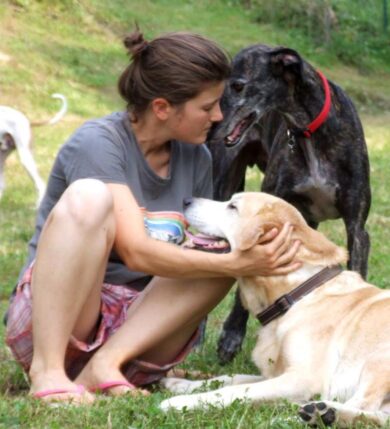 Cane anziano? I sette consigli per farlo vivere meglio e felice