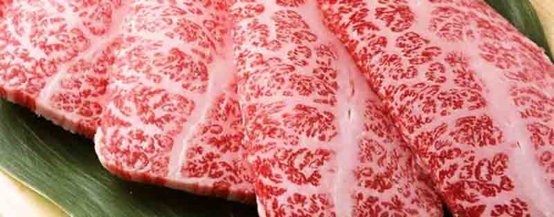 Tendenze food/ Il pregiato manzo giapponese Wagyu in Italia Tendenze food/ Il pregiato manzo giapponese Wagyu in Italia
