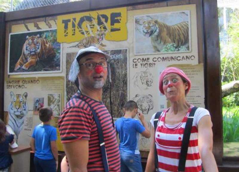 Perché la tigre ha il manto a strisce? Bioparco, parte l’olimpiade dei felini Perché la tigre ha il manto a strisce? Bioparco, parte l’olimpiade dei felini