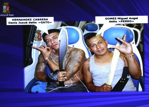 Latin gang, 15 arrestati tra i salvadoregni del “Barrio 18” Latin gang, 15 arrestati tra i salvadoregni del “Barrio 18”