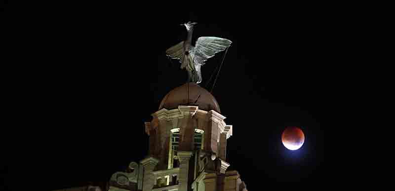 Eclissi di luna incanta (mezza) Terra