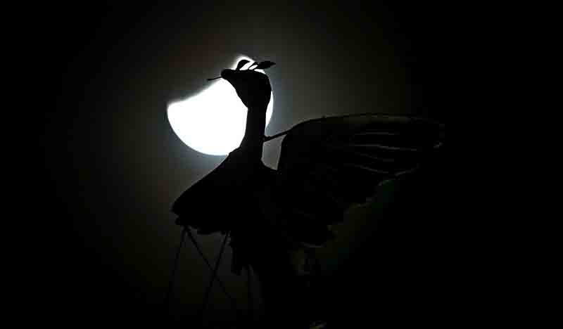 Eclissi di luna incanta (mezza) Terra