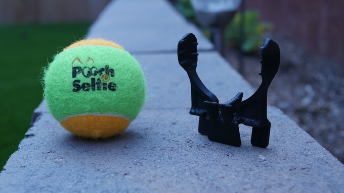 Selfie da cani: così Fido guarderà in camera Selfie da cani: così Fido guarderà in camera