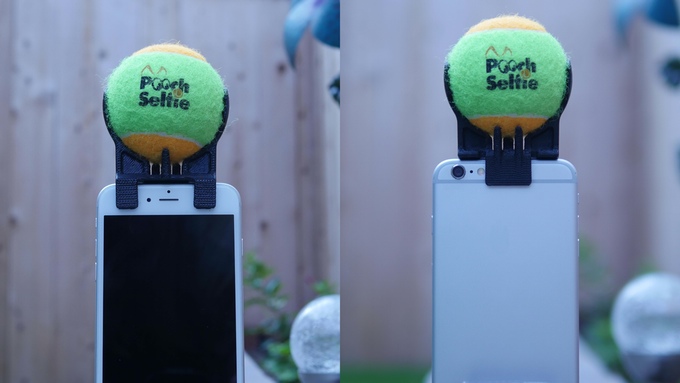 Selfie da cani: così Fido guarderà in camera Selfie da cani: così Fido guarderà in camera